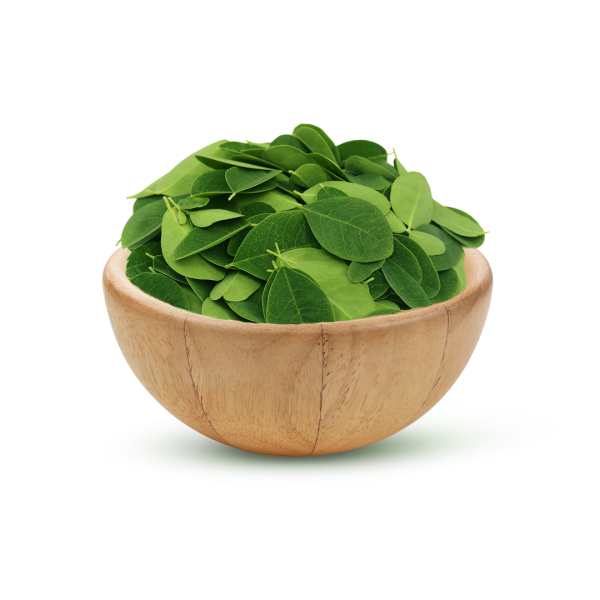 مورينجا ورق